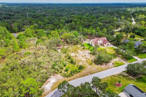 Terreno en venta en Hudson, Florida № 1873574 - foto 1