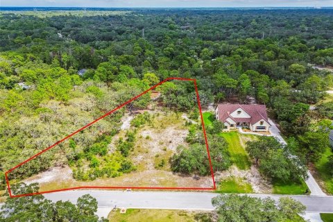 Terreno en venta en Hudson, Florida № 1873574 - foto 6