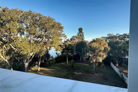 Villa ou maison à vendre à Oldsmar, Floride: 3 chambres, 184.88 m2 № 2416520 - photo 23