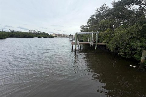 Villa ou maison à vendre à Oldsmar, Floride: 3 chambres, 184.88 m2 № 2416520 - photo 2