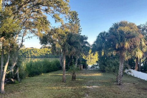 Villa ou maison à vendre à Oldsmar, Floride: 3 chambres, 184.88 m2 № 2416520 - photo 27