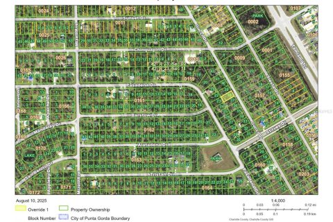 Land in Punta Gorda, Florida № 2160074 - photo 2