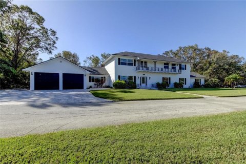 House in Dunedin, Florida 5 bedrooms, 587.98 sq.m. № 1750659 - photo 1