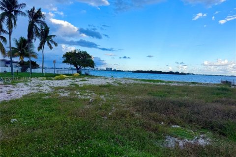Land in Miami, Florida № 2381698 - photo 10