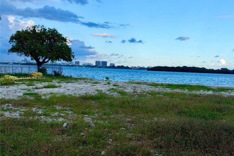 Land in Miami, Florida № 2381698 - photo 11