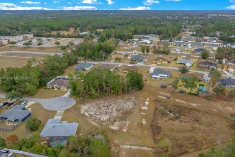Land in Ocala, Florida № 1942287 - photo 6