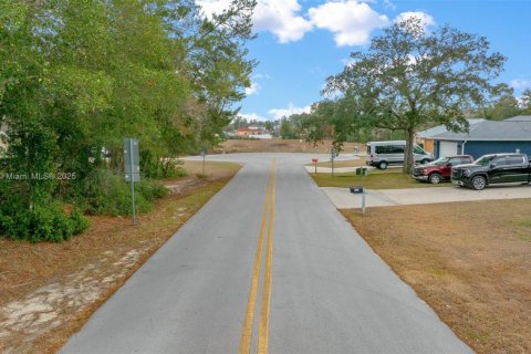 Land in Ocala, Florida № 1942287 - photo 15