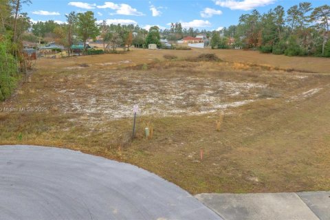 Land in Ocala, Florida № 1942287 - photo 14