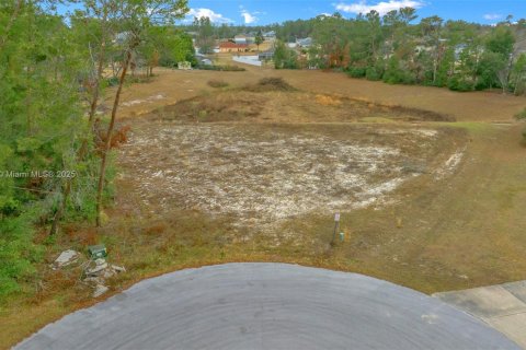 Land in Ocala, Florida № 1942287 - photo 2