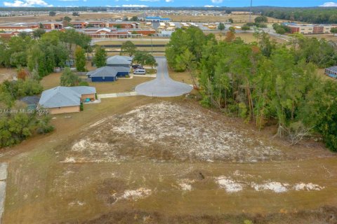 Land in Ocala, Florida № 1942287 - photo 4