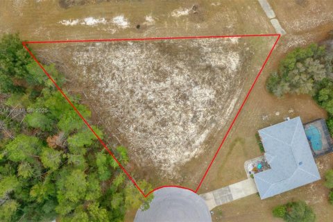 Land in Ocala, Florida № 1942287 - photo 10