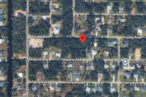 Land in Port Charlotte, Florida № 2205354