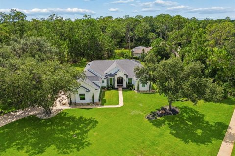 House in Orlando, Florida 4 bedrooms, 292.18 sq.m. № 2225728