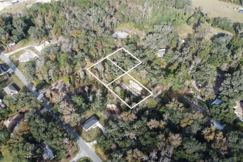 Terreno en venta en Summerfield, Florida № 2165388 - foto 2