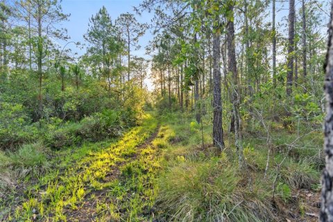 Land in Fort Meade, Florida № 1245195 - photo 11