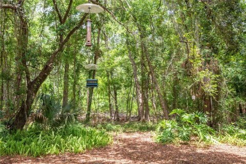 Villa ou maison à vendre à Gainesville, Floride: 4 chambres, 191.47 m2 № 2408334 - photo 27