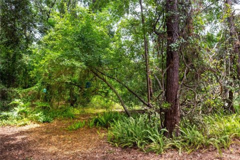 Villa ou maison à vendre à Gainesville, Floride: 4 chambres, 191.47 m2 № 2408334 - photo 29