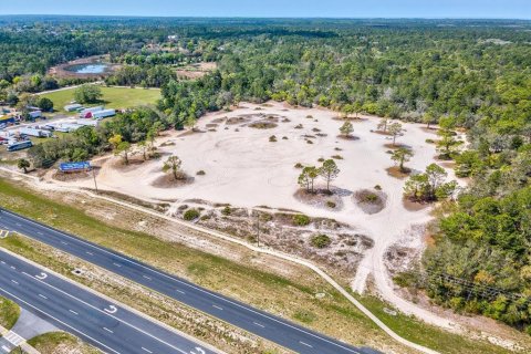 Land in Weeki Wachee, Florida № 2165967 - photo 8