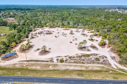 Land in Weeki Wachee, Florida № 2165967 - photo 9