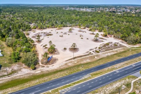 Land in Weeki Wachee, Florida № 2165967 - photo 10