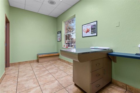 Propiedad comercial en venta en Mount Dora, Florida, 665.09 m2 № 2108985 - foto 21