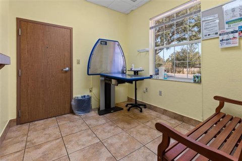 Propiedad comercial en venta en Mount Dora, Florida, 665.09 m2 № 2108985 - foto 24