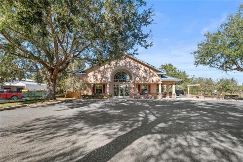 Propiedad comercial en venta en Mount Dora, Florida, 665.09 m2 № 2108985 - foto 4