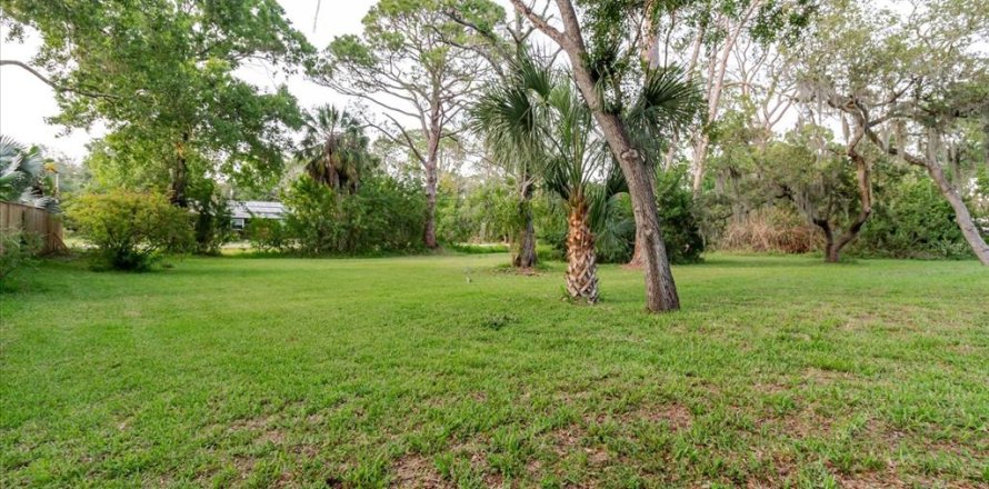 Terrain à Tarpon Springs, Floride № 2212920