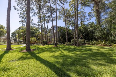 Land in Palm Harbor, Florida № 1894879 - photo 4