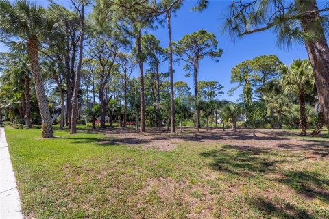 Land in Palm Harbor, Florida № 1894879 - photo 6
