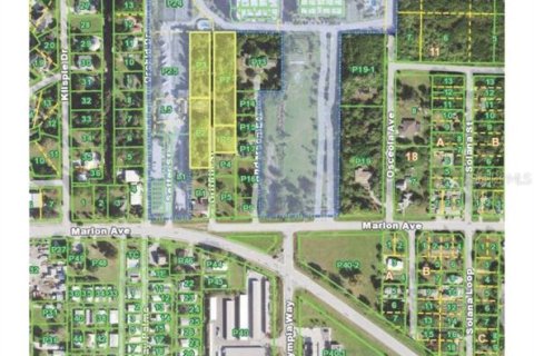 Land in Punta Gorda, Florida № 1827304 - photo 5