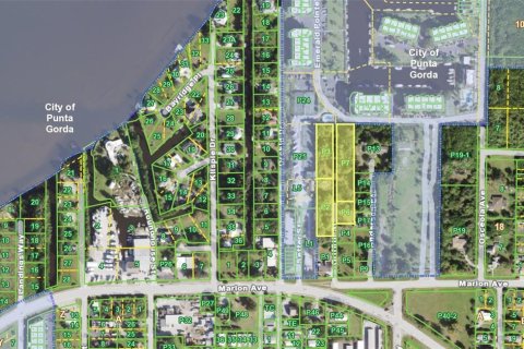Land in Punta Gorda, Florida № 1827304 - photo 2