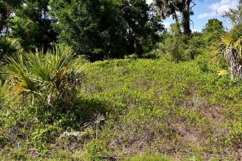 Land in North Port, Florida № 2230333