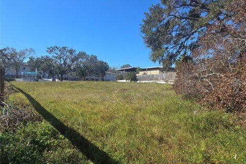 Land in Saint Petersburg, Florida № 2106371 - photo 3