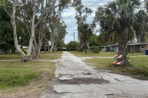 Propiedad comercial en venta en Saint Petersburg, Florida, 28 dormitorios, 57.97 m2 № 1686720 - foto 3