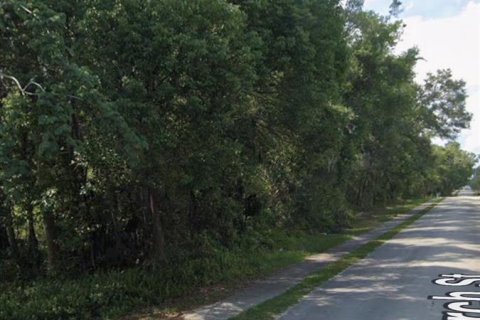Terreno en Lake Helen, Florida № 2233311