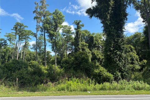 Land in Bunnell, Florida № 2214339