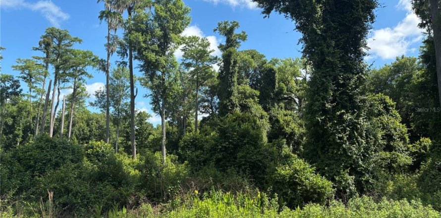 Land in Bunnell, Florida № 2214339