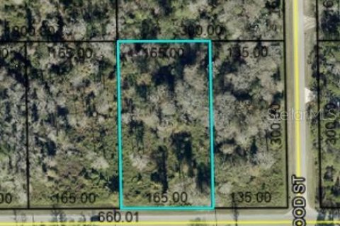 Land in Bunnell, Florida № 2214339 - photo 2
