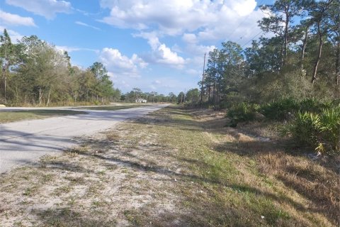 Terrain à vendre à Indian lake estates, Floride № 2161596 - photo 2