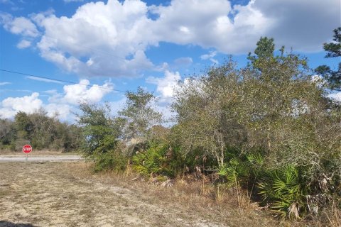 Terrain à vendre à Indian lake estates, Floride № 2161596 - photo 3