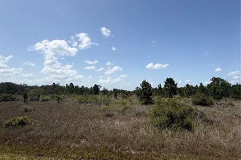 Terreno en Okeechobee, Florida № 2216998