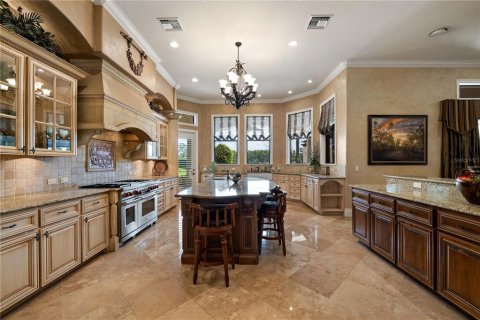 House in Odessa, Florida 5 bedrooms, 627 sq.m. № 1914817 - photo 10