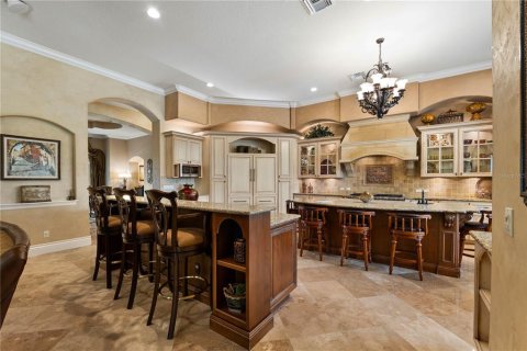 House in Odessa, Florida 5 bedrooms, 627 sq.m. № 1914817 - photo 11