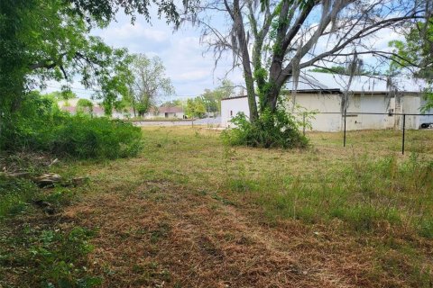 Immobilier commercial à vendre à Alachua, Floride: 294.5 m2 № 1737093 - photo 20