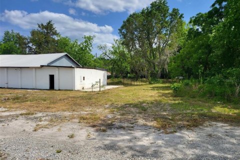 Immobilier commercial à vendre à Alachua, Floride: 294.5 m2 № 1737093 - photo 5