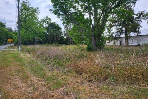 Immobilier commercial à vendre à Alachua, Floride: 294.5 m2 № 1737093 - photo 15