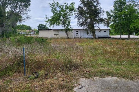 Immobilier commercial à vendre à Alachua, Floride: 294.5 m2 № 1737093 - photo 17