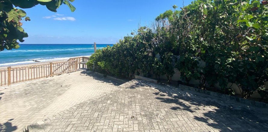 Villa ou maison à Palm Beach, Floride 8 chambres, 619.47 m2 № 1182074
