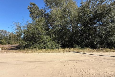 Land in Ocala, Florida № 2162519 - photo 6